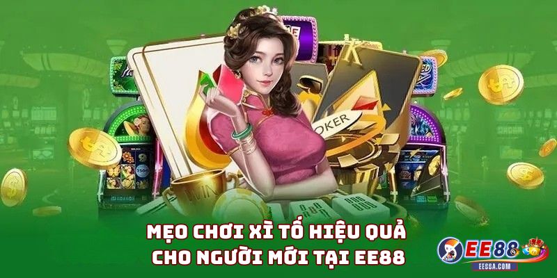 Mẹo chơi Xì Tố hiệu quả cho người mới tại EE88